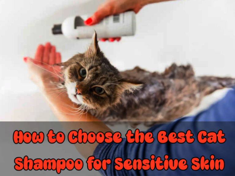 rinsing cat thoroughly to remove shampoo residue safely