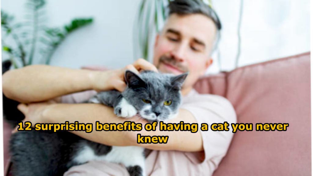12 Benefits of Having a Cat That Will Surprise You – Why Your Feline Friend Is a Hidden Treasure