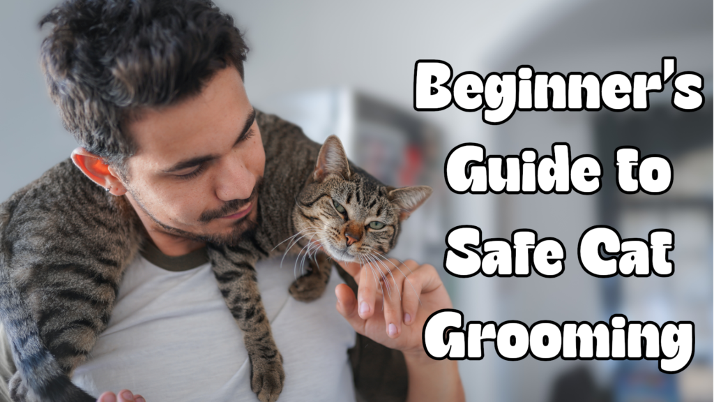 Beginner’s Guide to Safe Cat Grooming: Master the Basics Without Stress